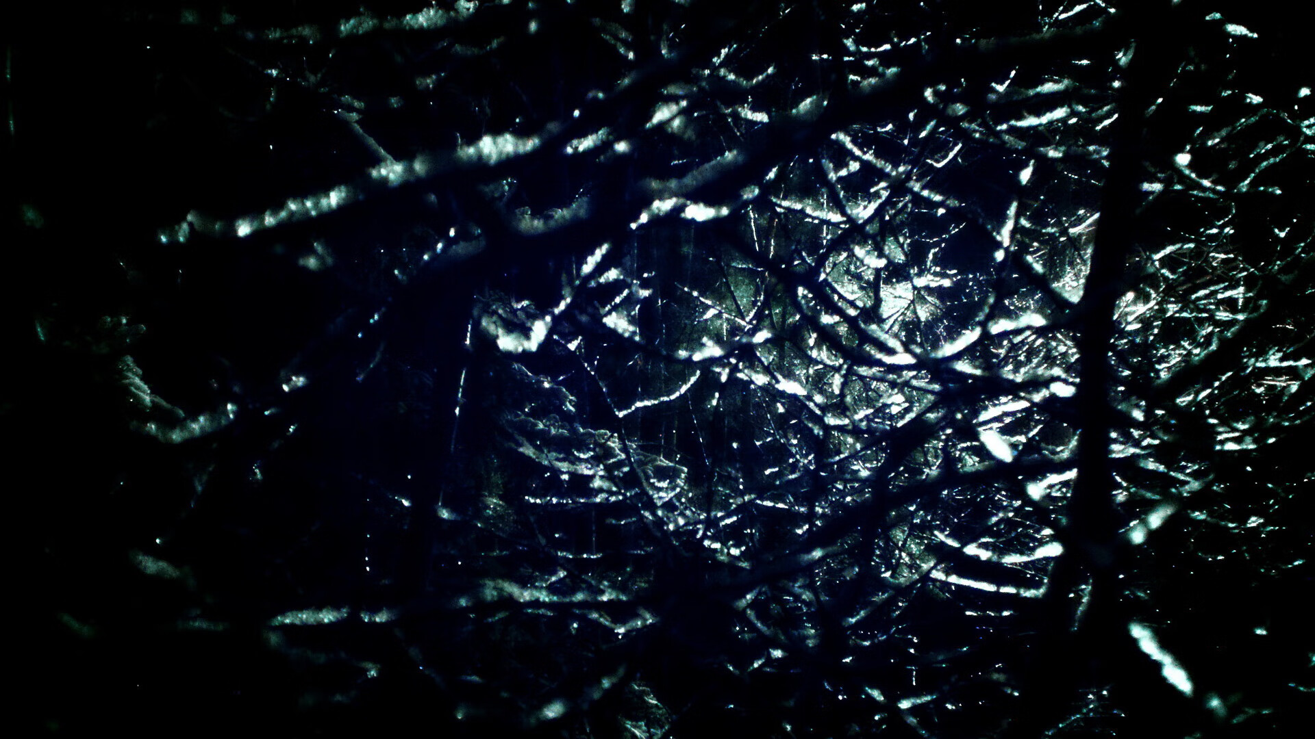 东契奇存在感拉满，独行侠强势晋级—从广东队看篮球成功的跨界启示