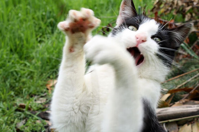 一帧历史，阿克关键制胜，定义永恒