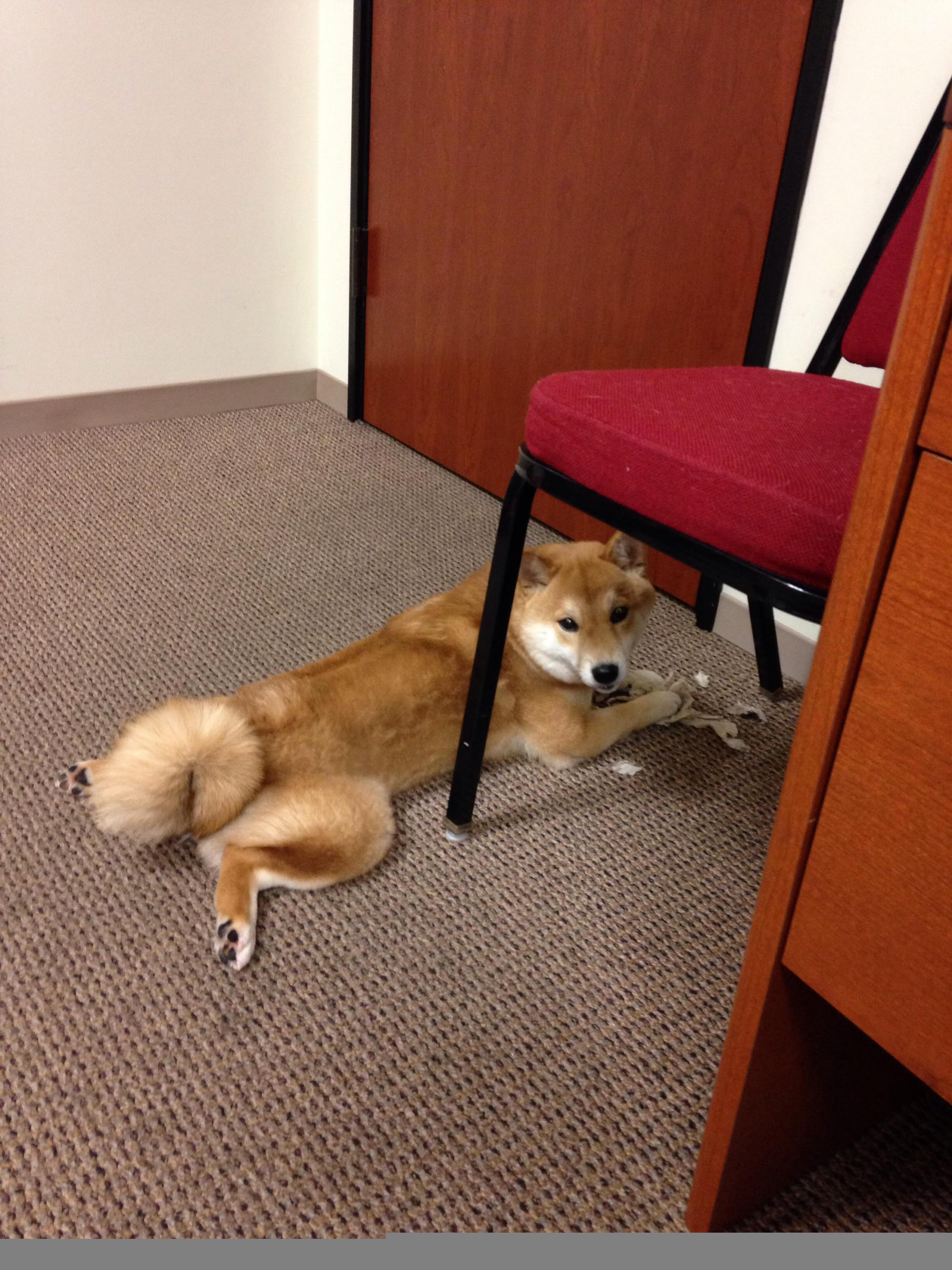 绿茵场破冰,当莫德里奇在封锁线上踢出关键先生的弧线