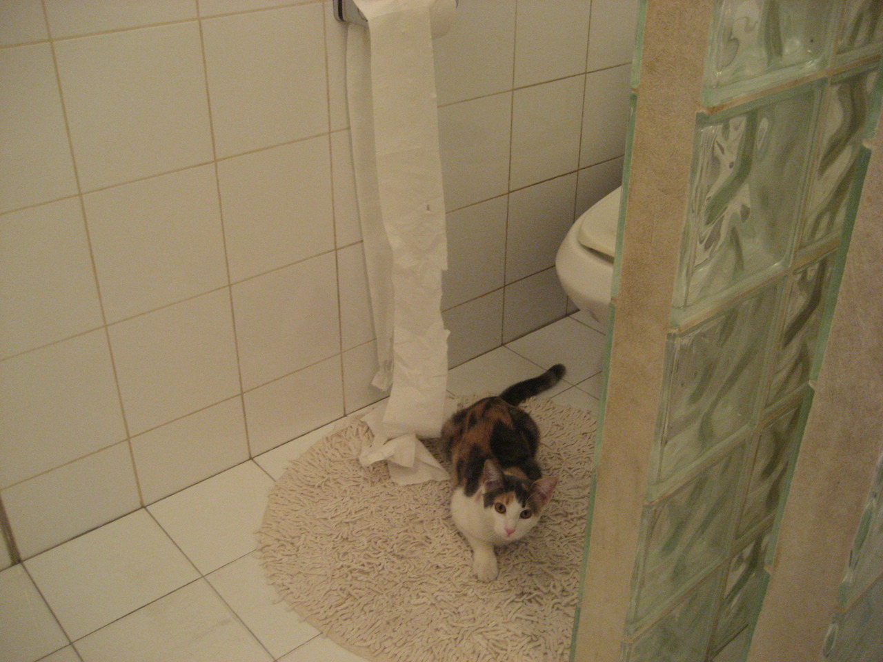 意外的主角,金玟哉的进攻狂想曲