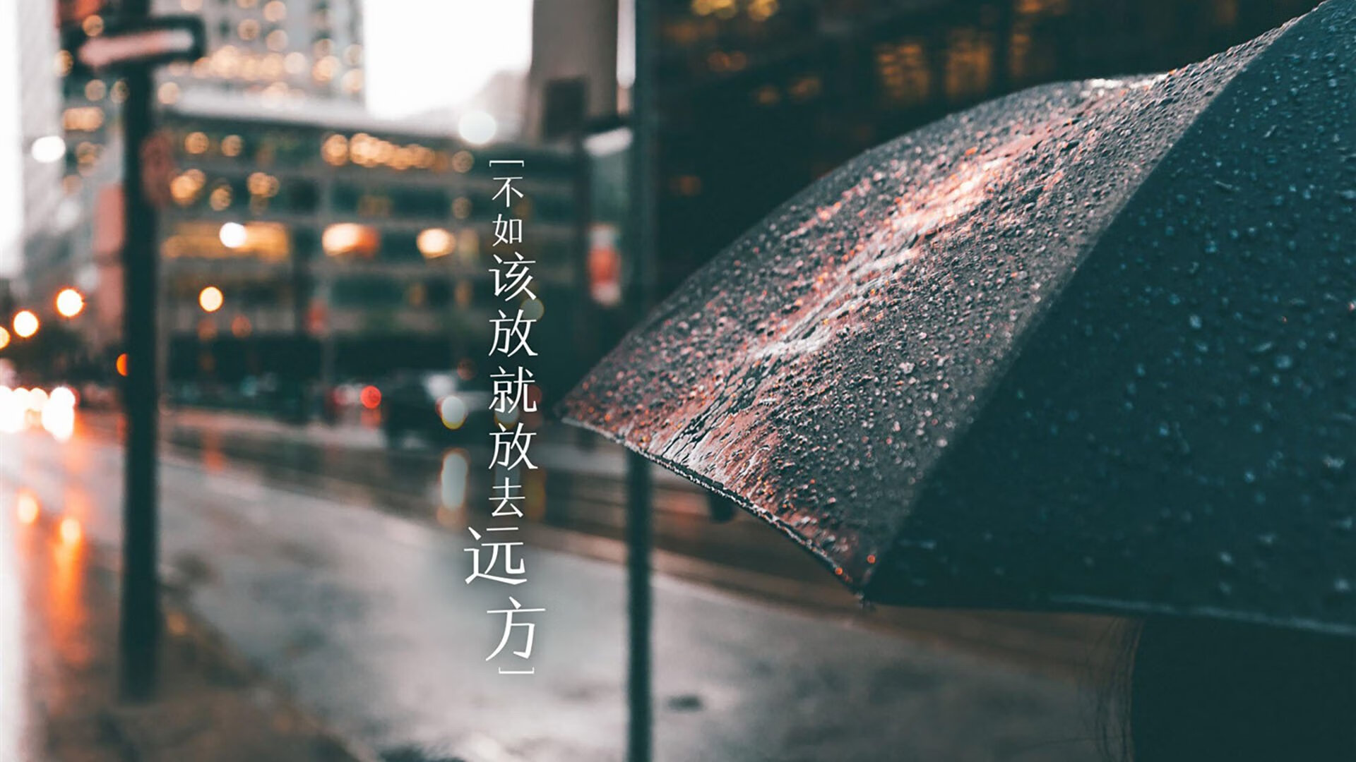 沉默的狼嚎，当明尼苏达的寒风吹散了萨克拉门托的王冠