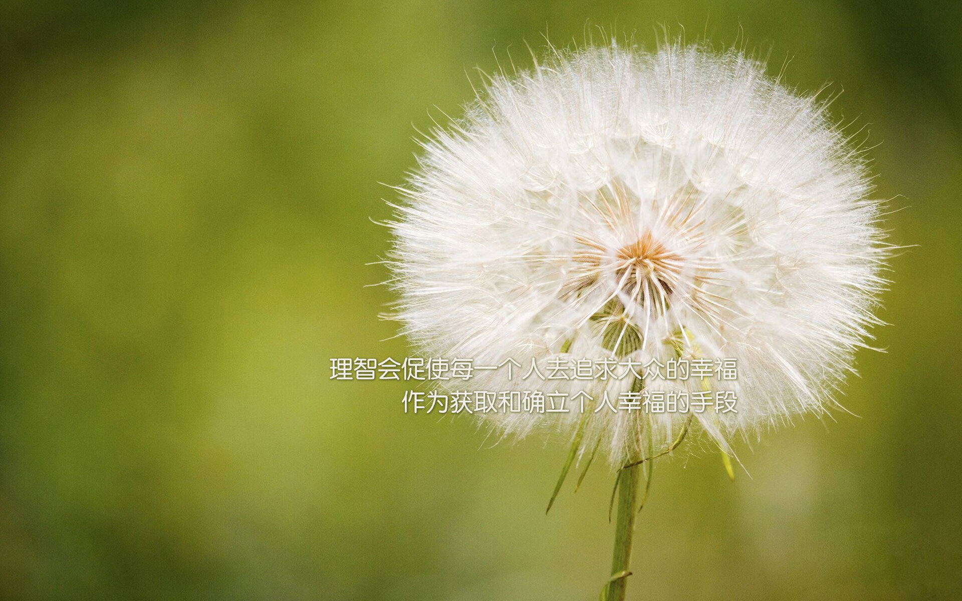 局外人法比尼奥,世界杯之夜,他以地图为师,数据为刃