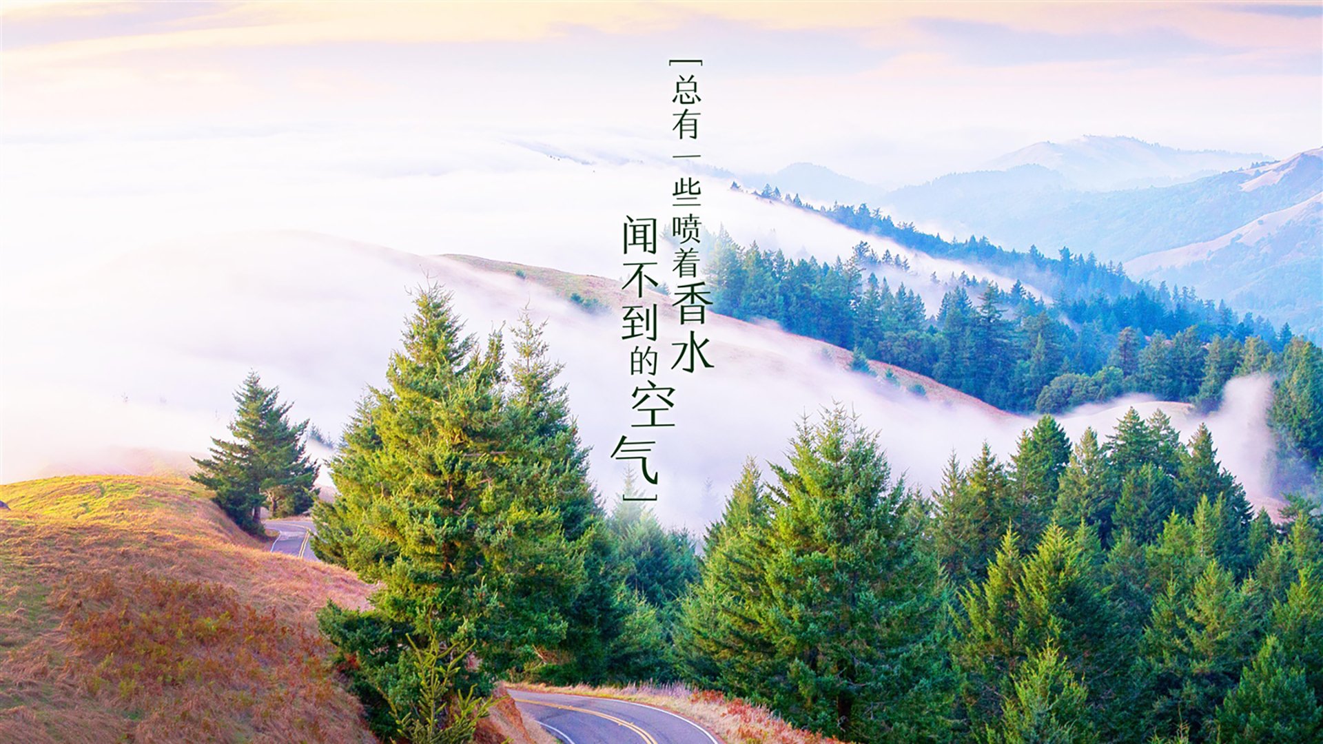 基于此，我为你构思了以下标题和文章