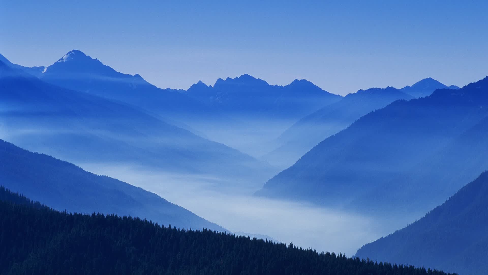 第三极的降临，当格列兹曼成为B组棋局中唯一的变量
