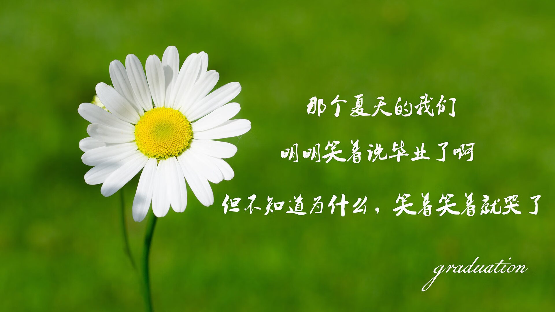 致命一吻，努涅斯的点球绝唱，深蓝军团与黑星之子的生死时速
