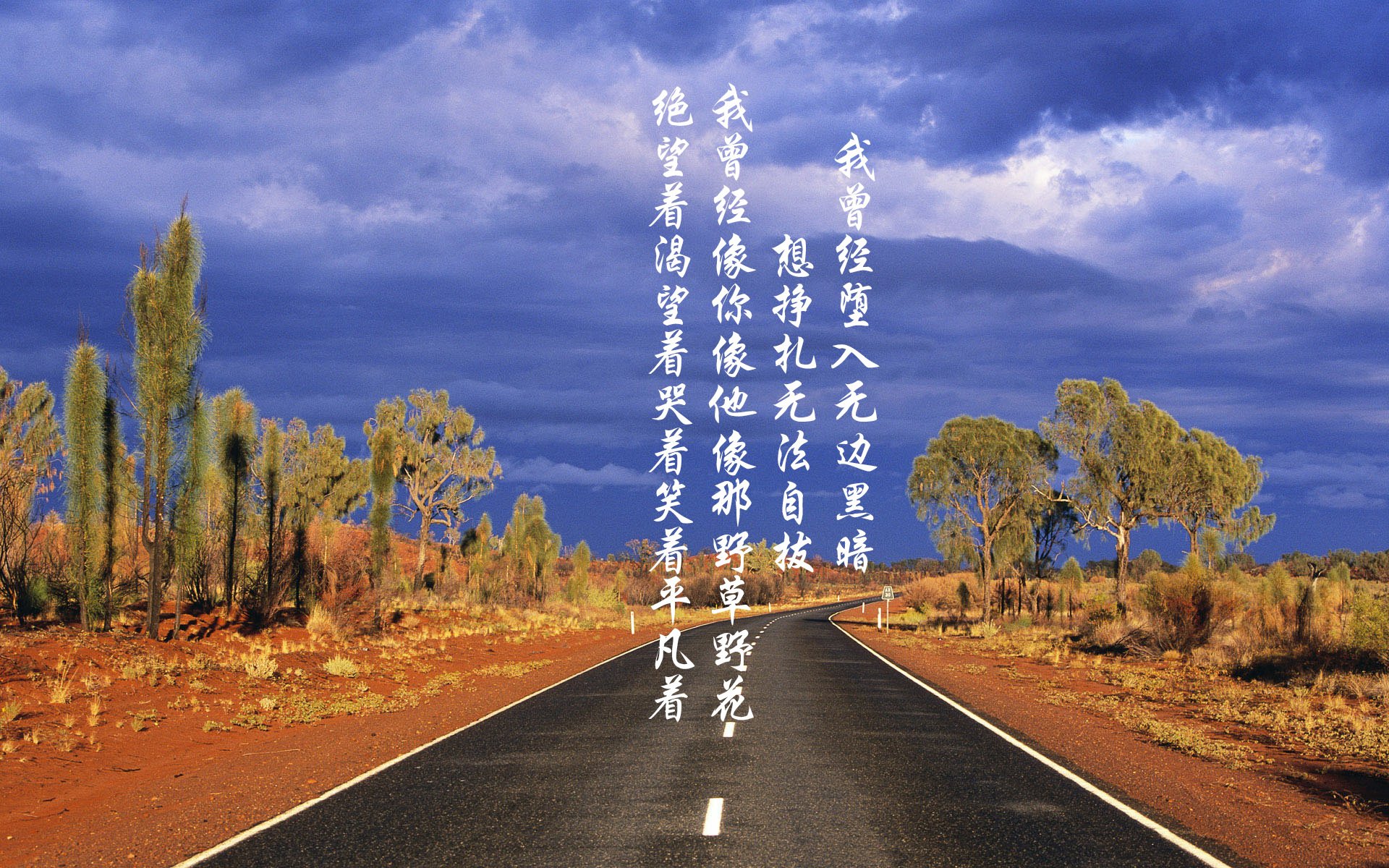 沙漠之狐的绝命反噬，2026世界杯C组，澳大利亚如何用半场盗梦空间击碎秘鲁，吉鲁完成终极救赎